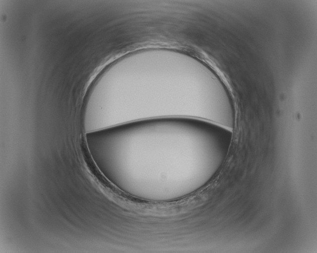 X0000084570011200702230921