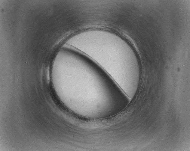 X0000084570020200702230921