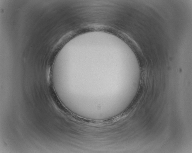 X0000084570024200702230921