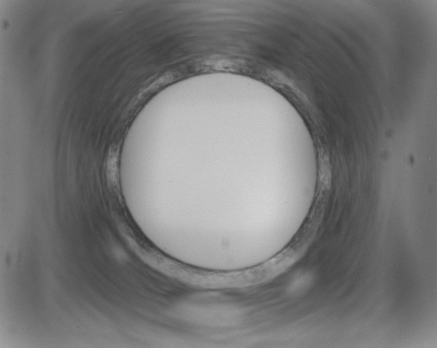 X0000084570036200702230921