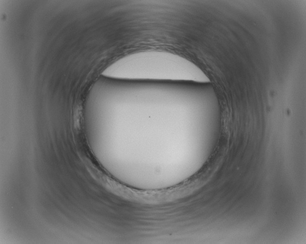 X0000084570038200702230921
