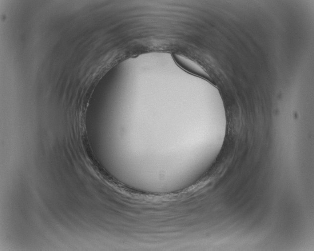 X0000084570044200702230921