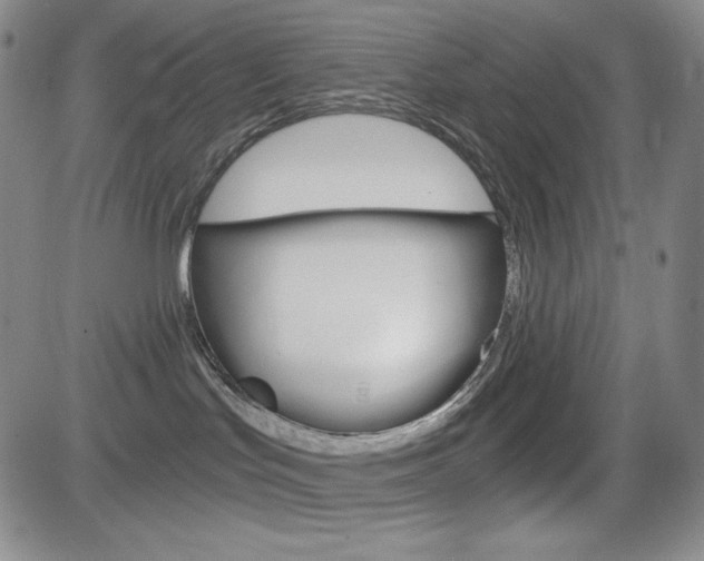 X0000084570047200702230921
