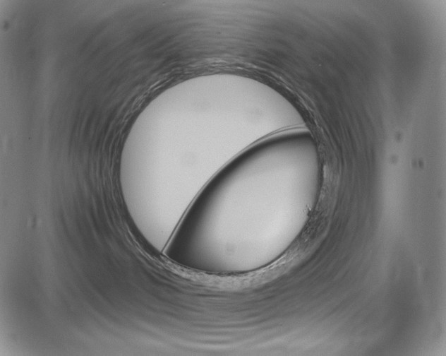X0000084570048200702230921