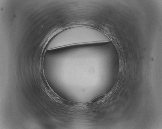 X0000084570050200702230920