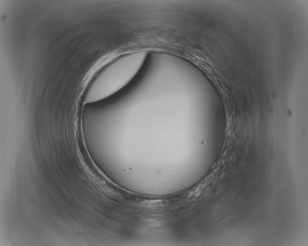 X0000084570054200702230920