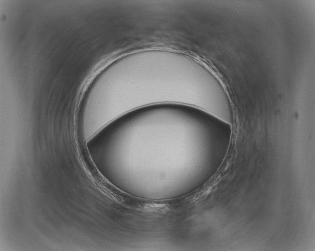 X0000084570055200702230920