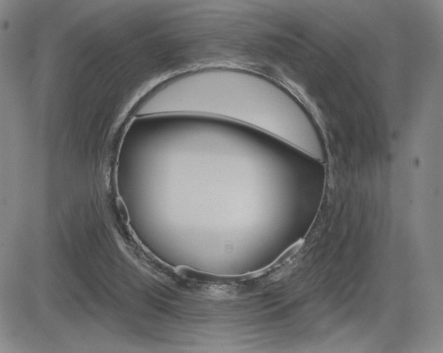 X0000084570060200702230920
