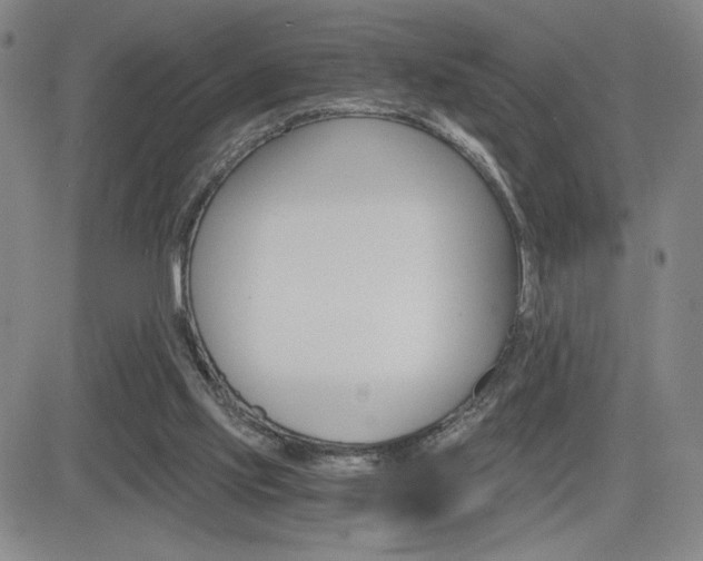 X0000084570061200702230920