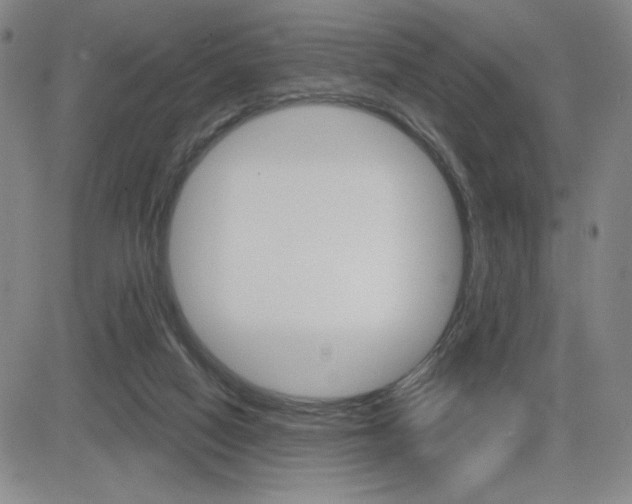 X0000084570066200702230920