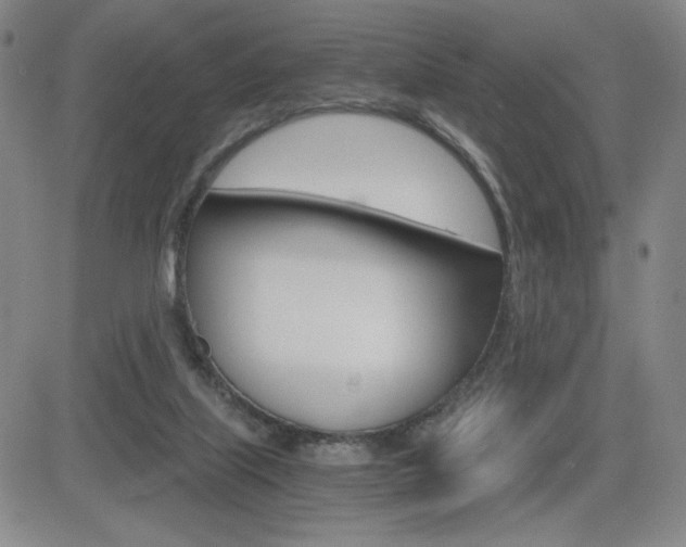 X0000084570067200702230920