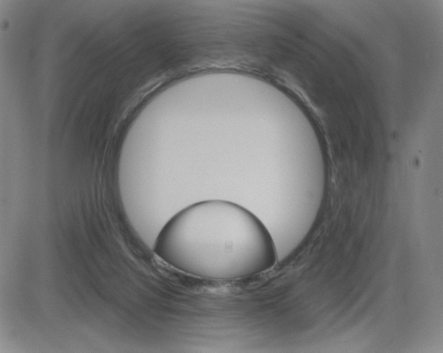 X0000084570068200702230920