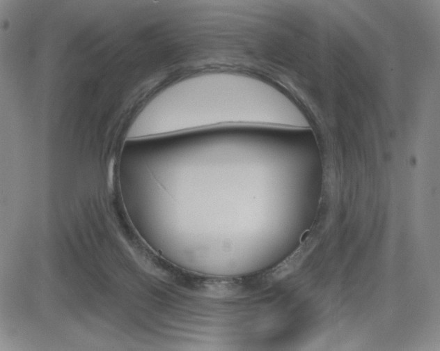 X0000084570070200702230920