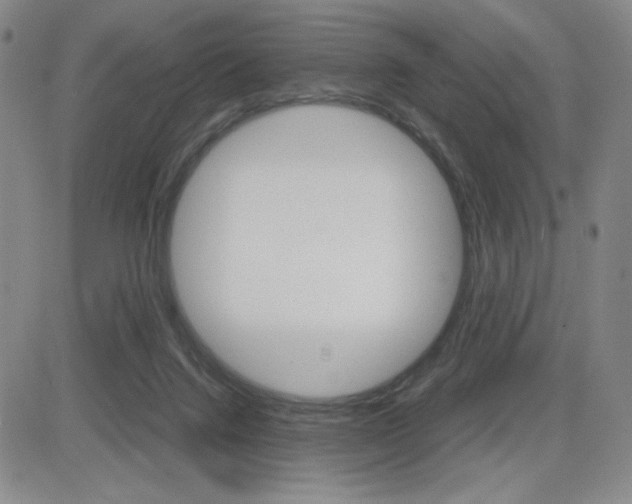 X0000084570072200702230920