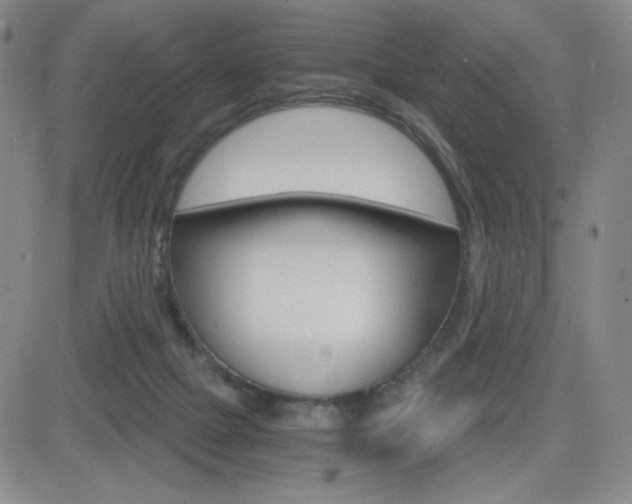 X0000084570073200702230920