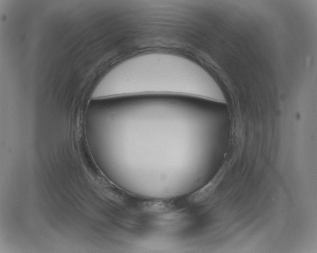 X0000084570074200702230920