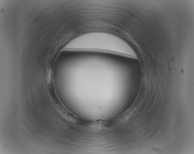 X0000084570076200702230920