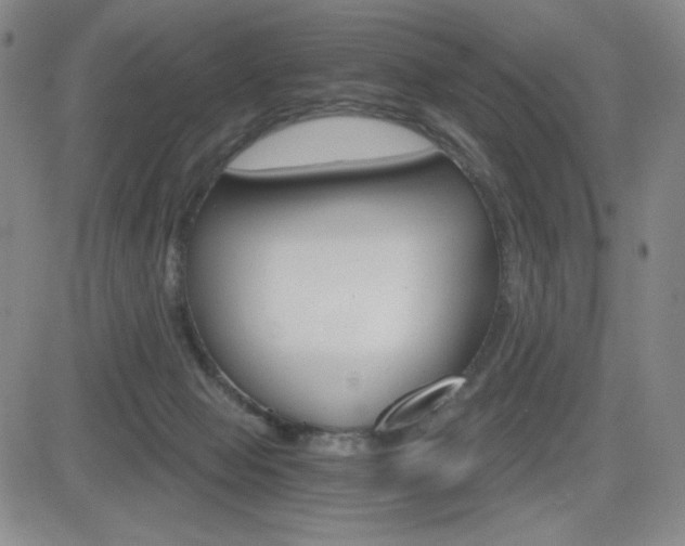 X0000084570077200702230920