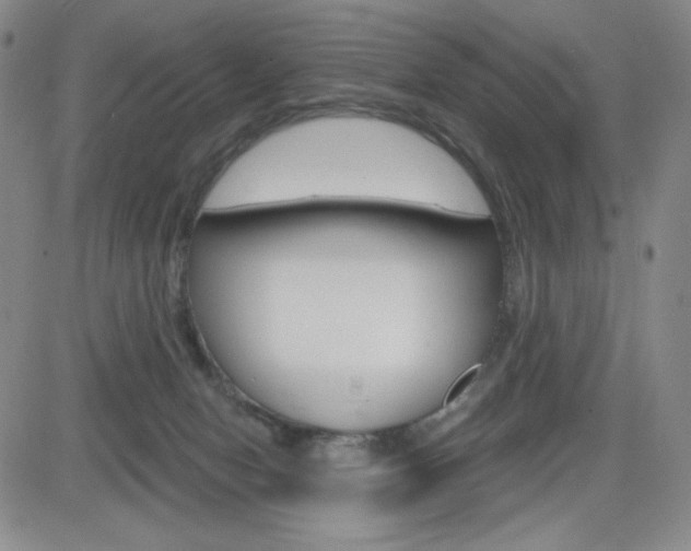 X0000084570078200702230920