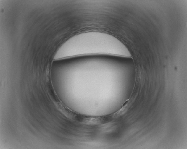 X0000084570082200702230920