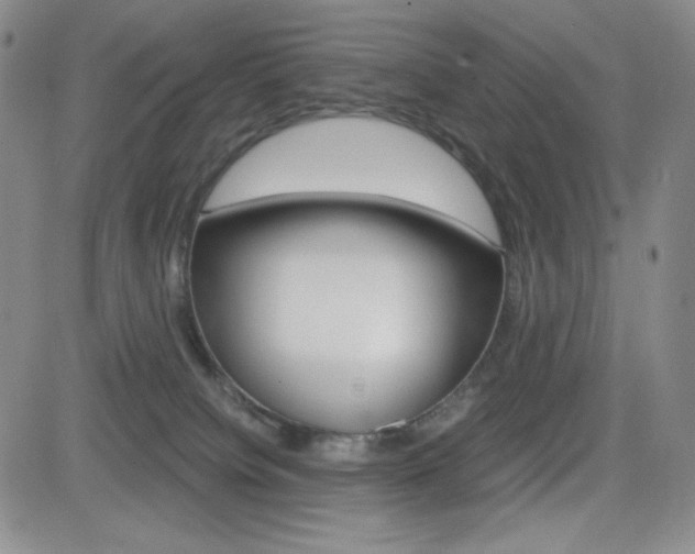 X0000084570084200702230920