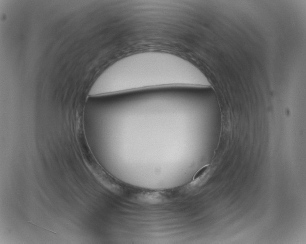 X0000084570086200702230920