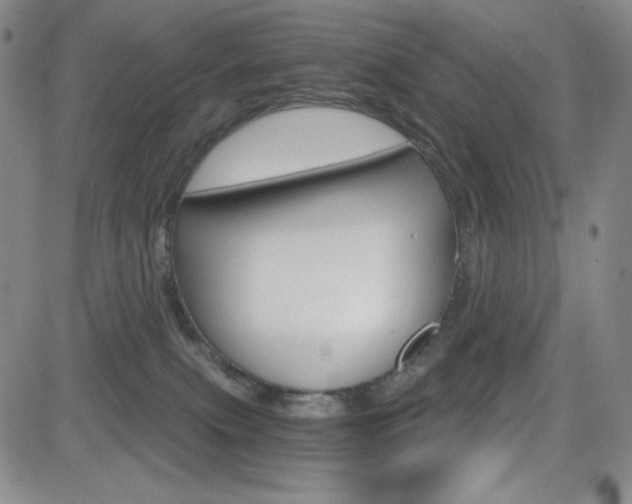X0000084570087200702230920