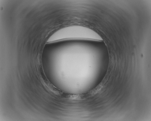 X0000084570088200702230921