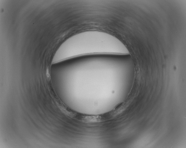 X0000084570089200702230921