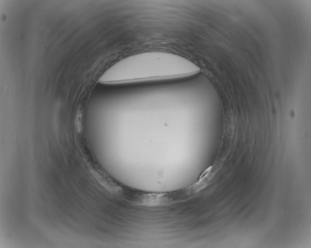 X0000084570090200702230921