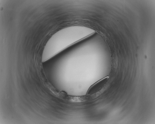 X0000084570091200702230921