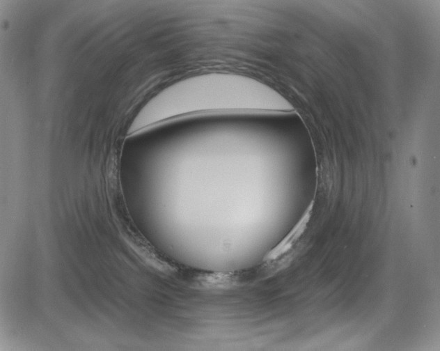 X0000084570092200702230921