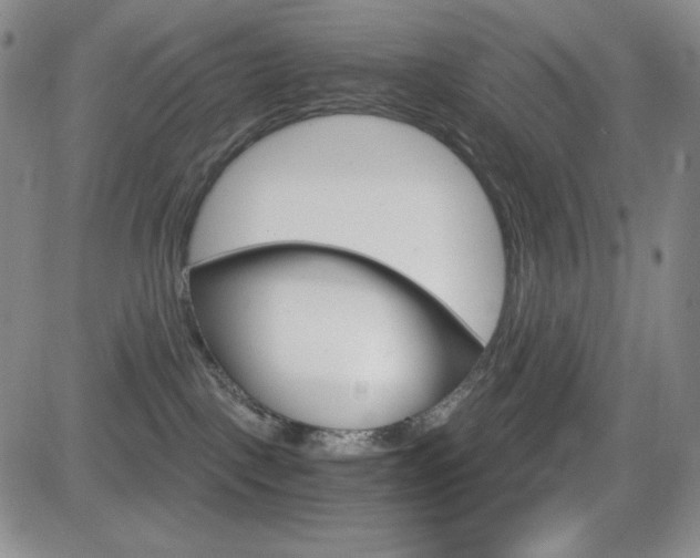 X0000084570093200702230921
