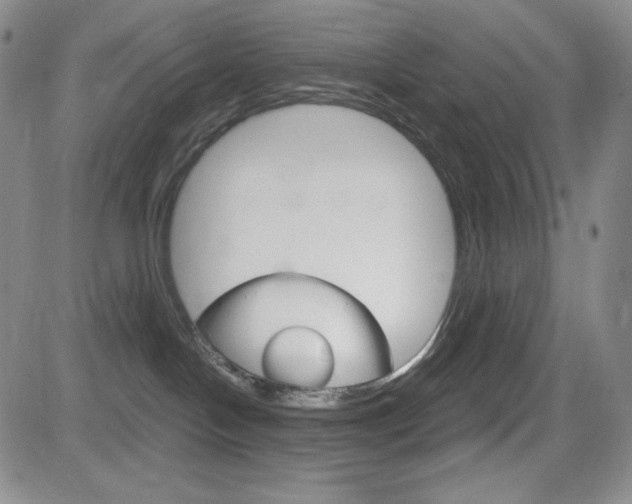 X0000084570094200702230921