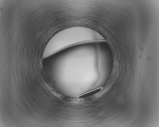 X0000084570096200702230921