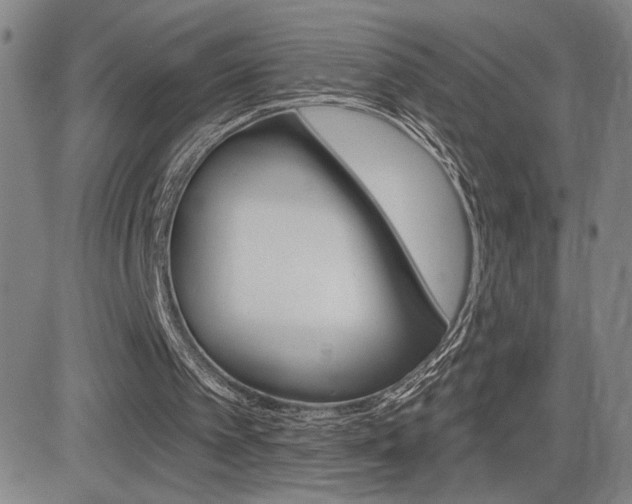 X0000084570097200702230920