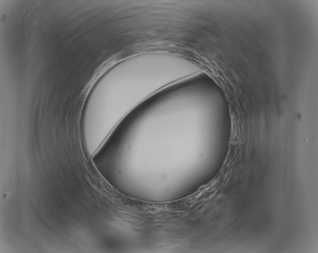 X0000084570099200702230920