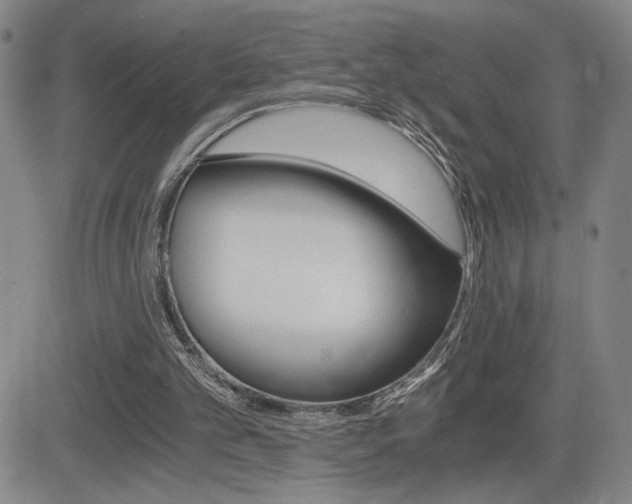 X0000084570101200702230920
