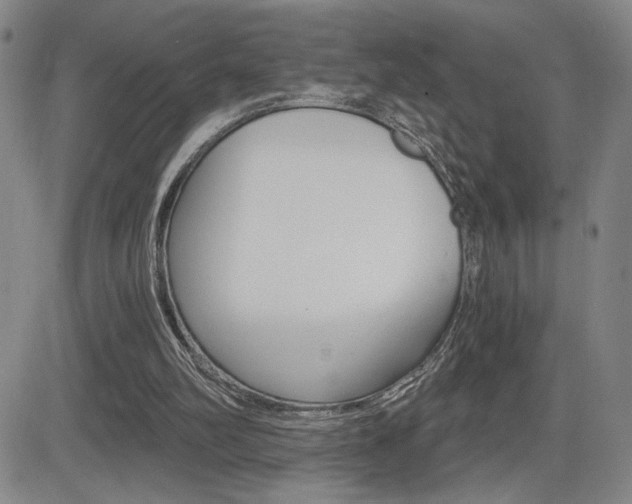 X0000084570102200702230920