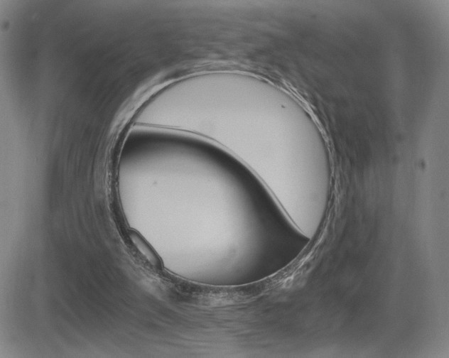 X0000084570103200702230920