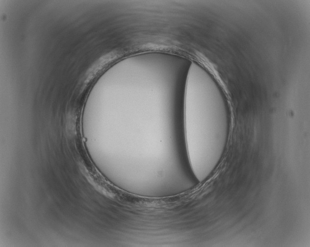 X0000084570106200702230920