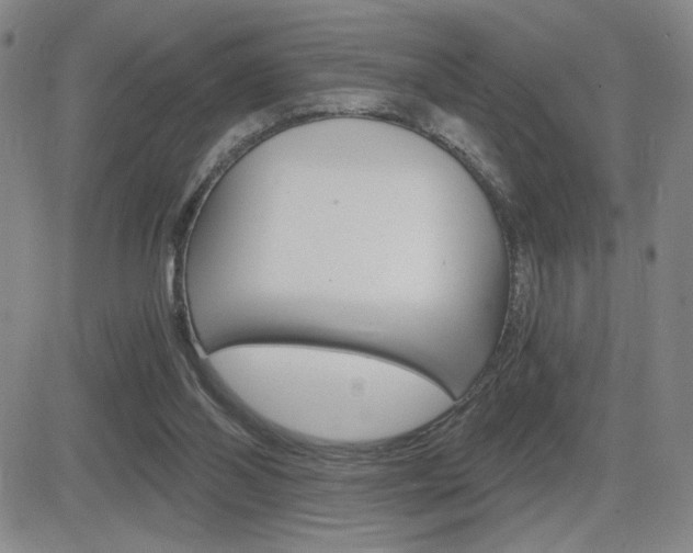 X0000084570110200702230920