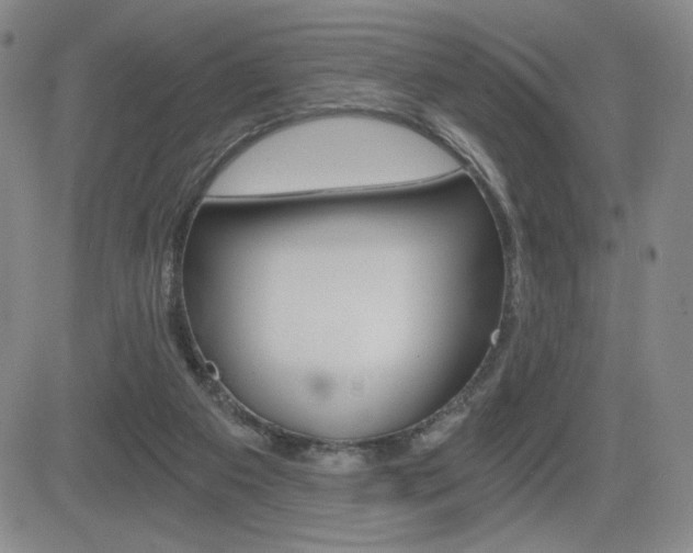X0000084570113200702230920