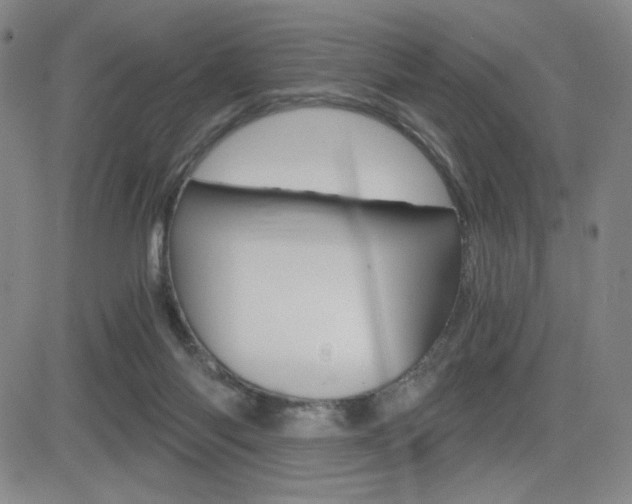 X0000084570118200702230919