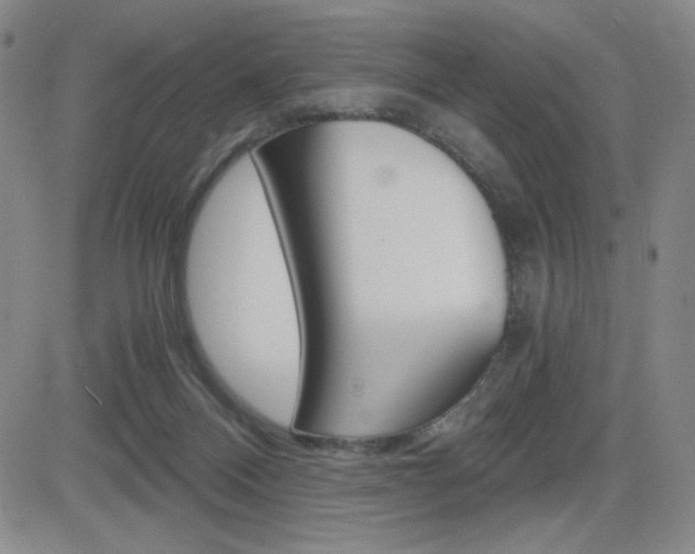 X0000084570120200702230919