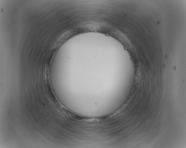 X0000084570122200702230919