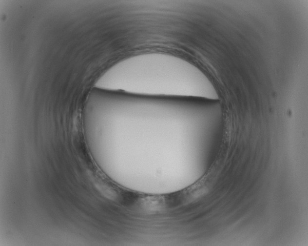 X0000084570126200702230919