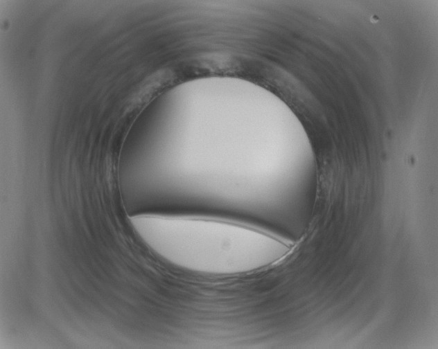 X0000084570132200702230919