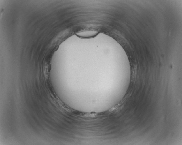X0000084570138200702230919