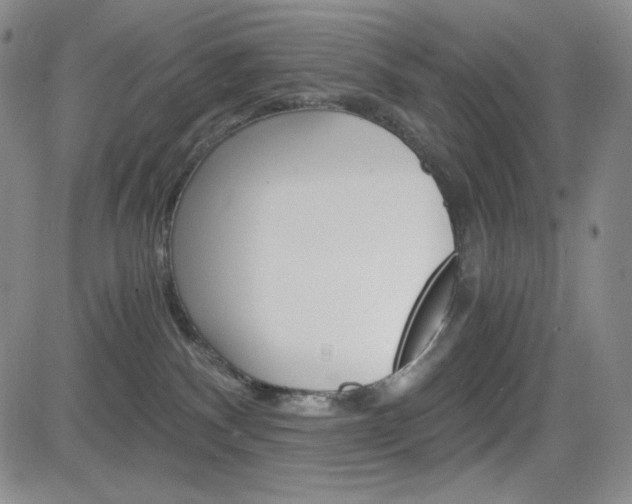 X0000084570140200702230919